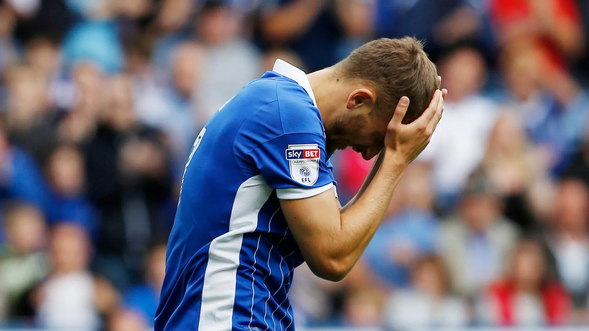 Almen Abdi thi đấu cho Sheffield Wednesday