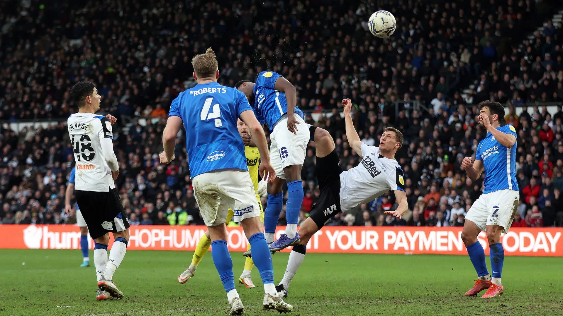 Krystian Bielik của Derby County ăn mừng bàn thắng gỡ hòa 2-2 đầy cảm xúc