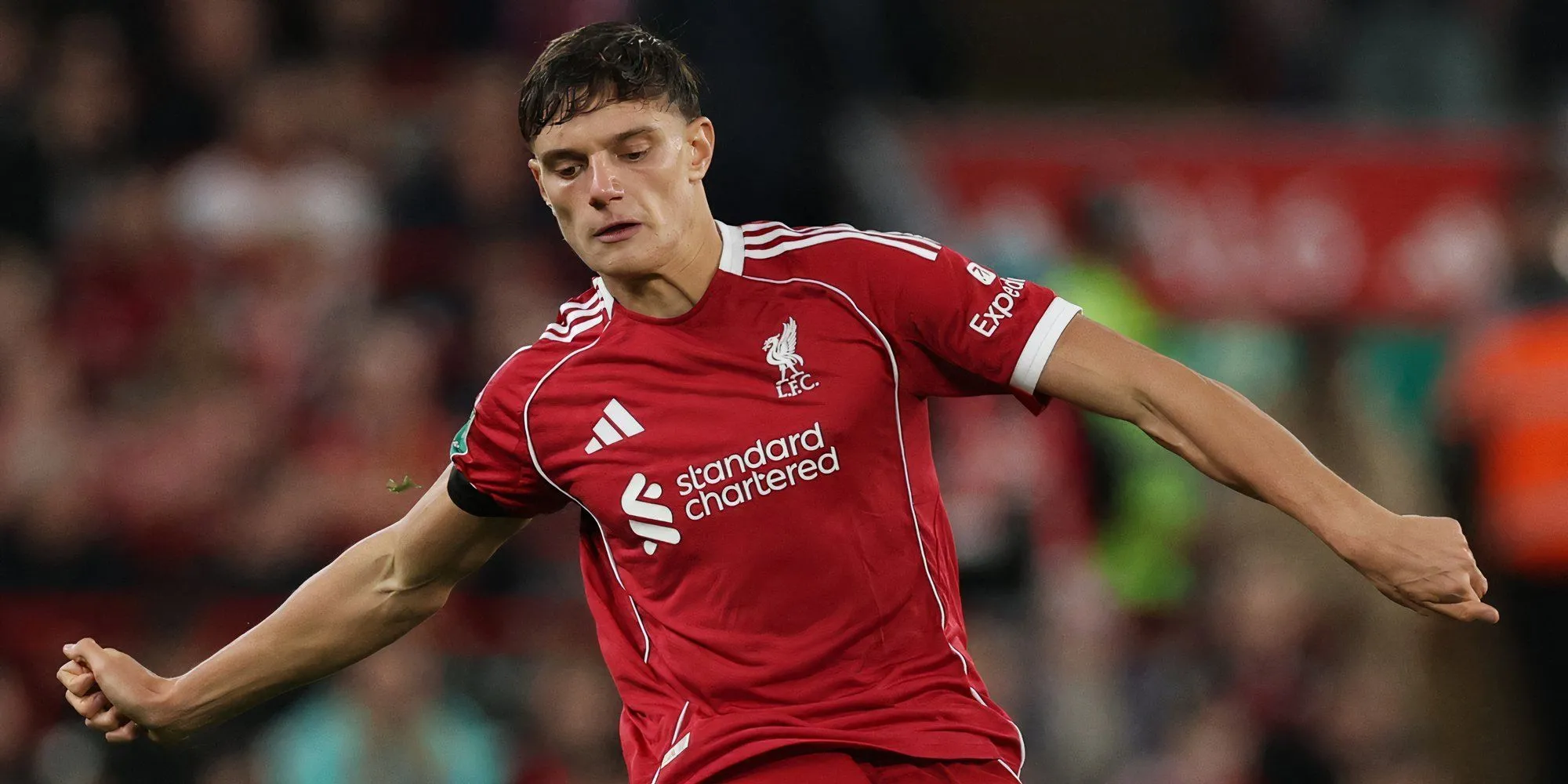 Giovanni Leoni trong màu áo Liverpool