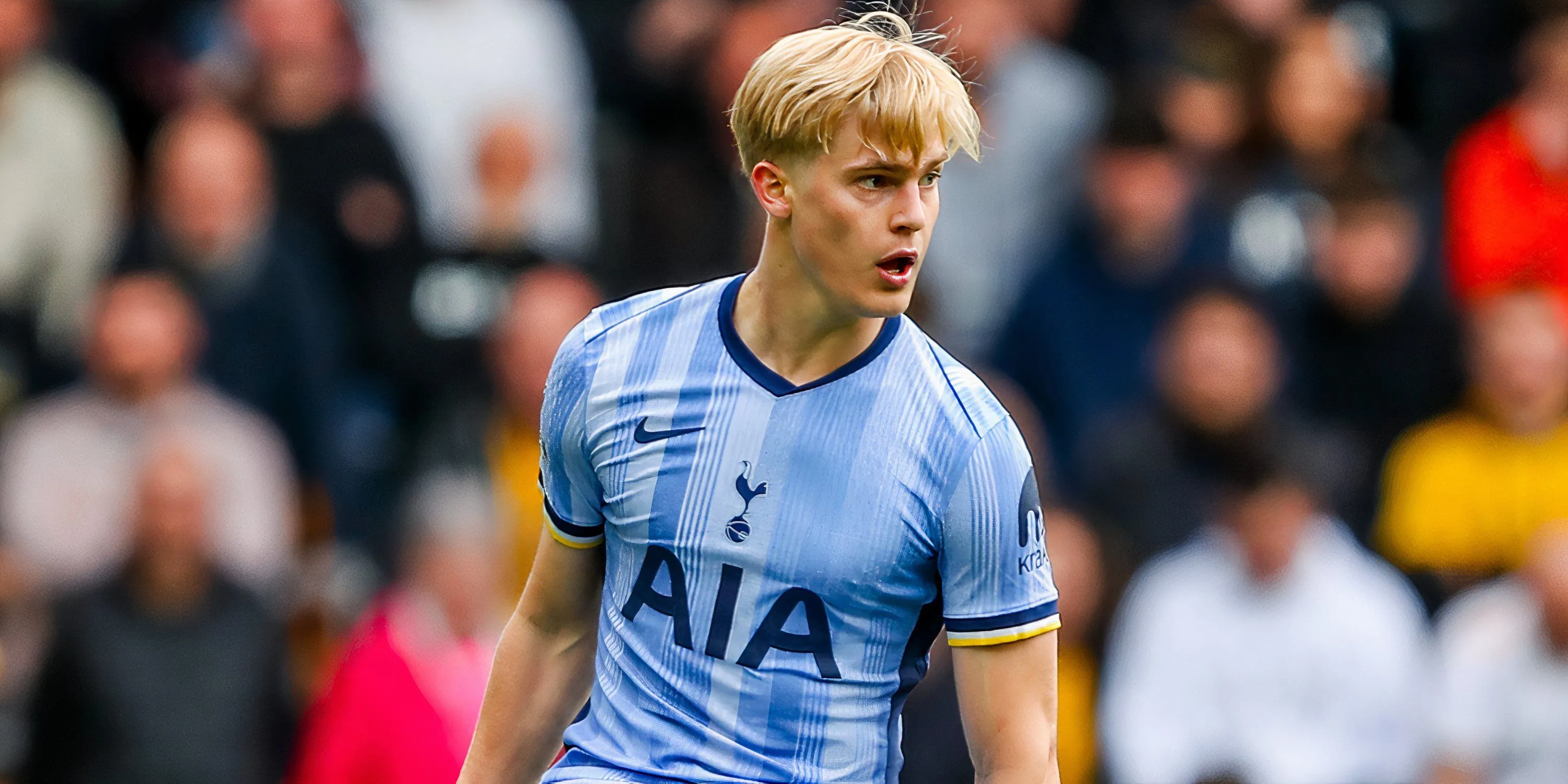 Lucas Bergvall ra sân cho Tottenham Hotspur